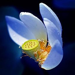 英国实体游戏周榜：PS5游戏继续屠榜